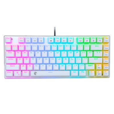 HUO JI Z-88 RGB Mechanical Gaming Keyboard, Blue Switch, LED Backlit, Water resistant, Compact 81 Keys Anti-Ghosting for Mac, PC, White 